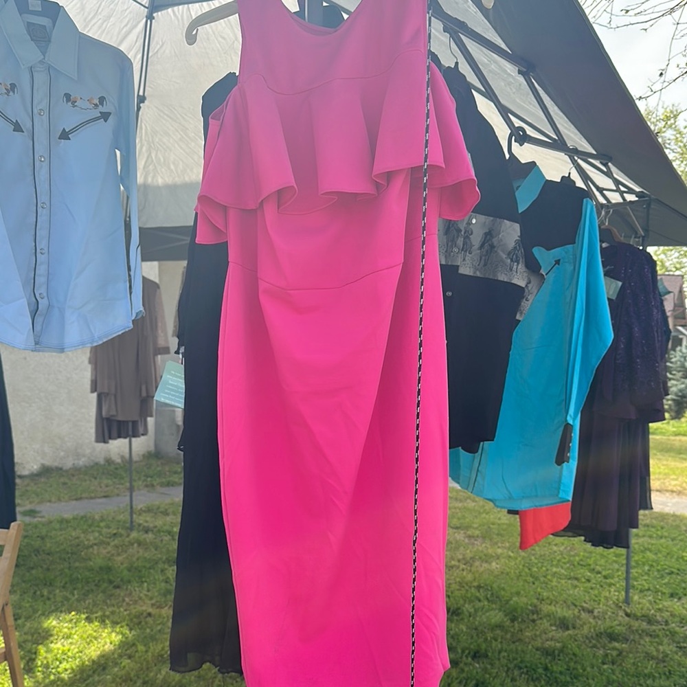 Elegant Pink Ruffle Dress